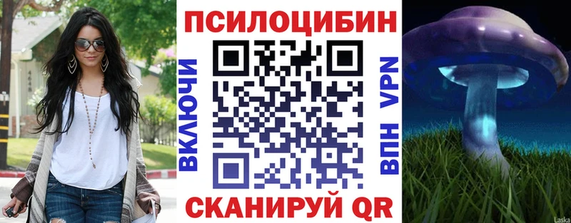 Галлюциногенные грибы Psilocybe  Петровск-Забайкальский 